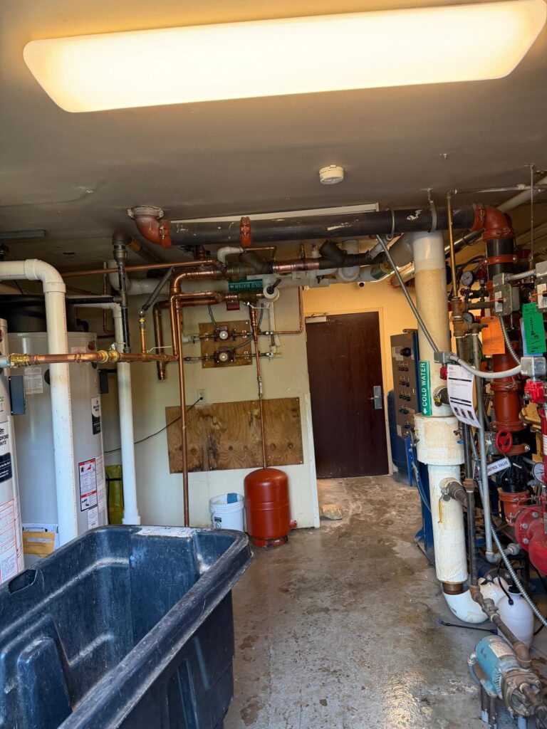 Commercial mechanical room with water heaters and hot water distribution system